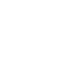 Natural Language Processing