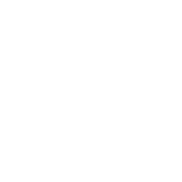 Computer vision